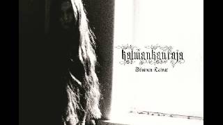 Kalmankantaja - Korpin siivin