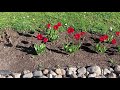 Никола Весенний. Русь Святая