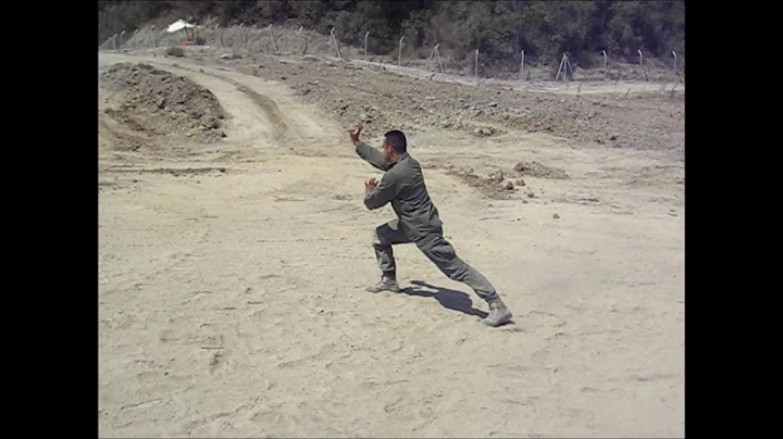 Hung Gar Mui Fa Kuen - Traditional Martial Arts - Kung Fu