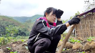 Download Lagu The girl was exhausted from working too hard to earn money to pay off her debts MP3