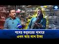 বিদেশি কবুতরের খামারেই ভাগ্য বদল, ঝুলিতে ৭ পুরস্কার | Fancy Pigeon Farming | Kaler Kantho