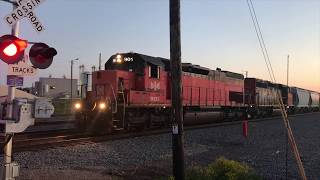 BLE 901 Leads L576