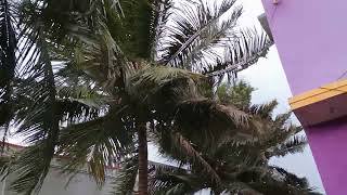 இன்று எனது ஊரில்.