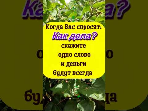 2 Когда Вас Спросят Как Дела, Скажите Одно И Деньги Будут Всегда