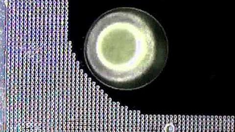 Phononic crystal structures for acoustically driven microfluidic manipulations