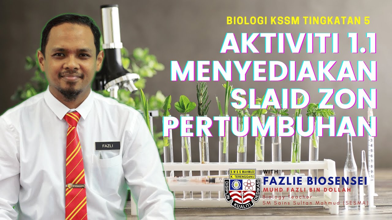 Biologi Kssm T5 Aktiviti 1 1 Menyediakan Slaid Zon Pertumbuhan Bagi Tisu Tumbuhan Youtube