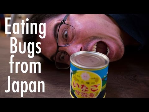 日本の虫を食べる-TOFUGUEATS