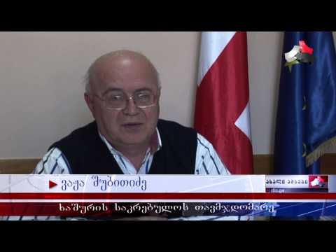 ხაშურის საკრებულომ ბიუჯეტი დაამტკიცა 27.12.2014