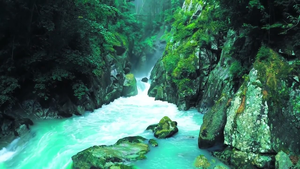 ✷ 𝐍𝐎 𝐀𝐃𝐒 ✷ Fall Asleep in a Peaceful Forest 🌿 Relaxing Piano, Flowing Water & Birds Singing
