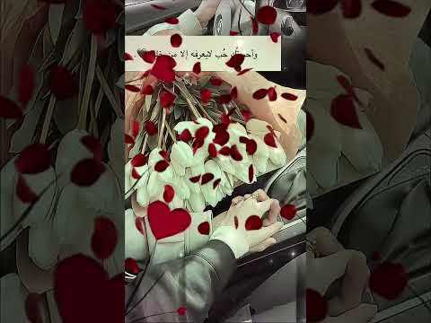 حبيبي وما نسيتك بثمن غالي شتريتك