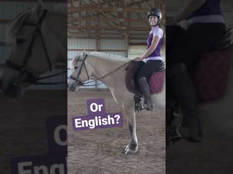 Video: 350+ perfekte ponny- og hestnavn for ryttere