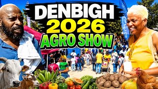 Agro Show,Subscribers,Innovations,Animals,And Food part 2