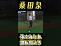 桑田泉　30ヤード以上は体のねじれ捻転を加えましょう。#桑田泉#捻転#体のねじれ#アプローチ