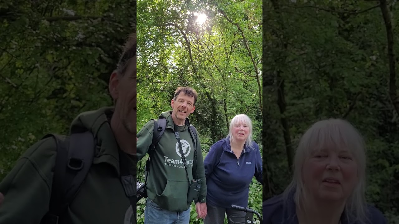 A Heartfelt Tribute & Journey Through Birmingham’s Green Spaces -WestMidsAllDayer #1