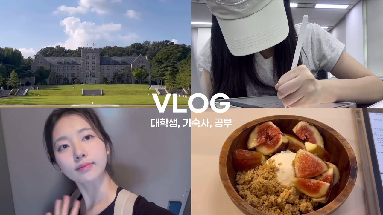 고려대 평균 학점 꼴찌 학과 학생의 일상 브이로그