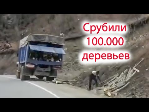 Что происходит в