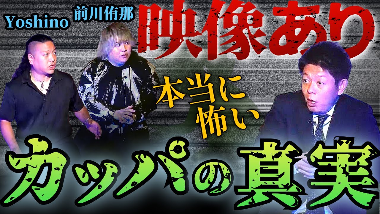 【怪談だけお怪談】本当は怖いカッパの真実の話※映像あり【Yoshino/前川侑那】※切り抜き『島田秀平のお怪談巡り』