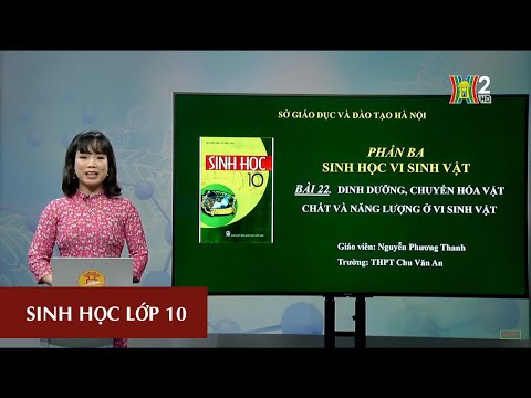 Video: Chế độ dinh dưỡng thực vật Lớp 10 là gì?