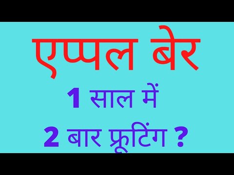 वीडियो: आड़ू बेर: विविधता, फायदे और नुकसान, रोपण और देखभाल की विशेषताओं और तस्वीरों और समीक्षाओं का विवरण और विशेषताएं