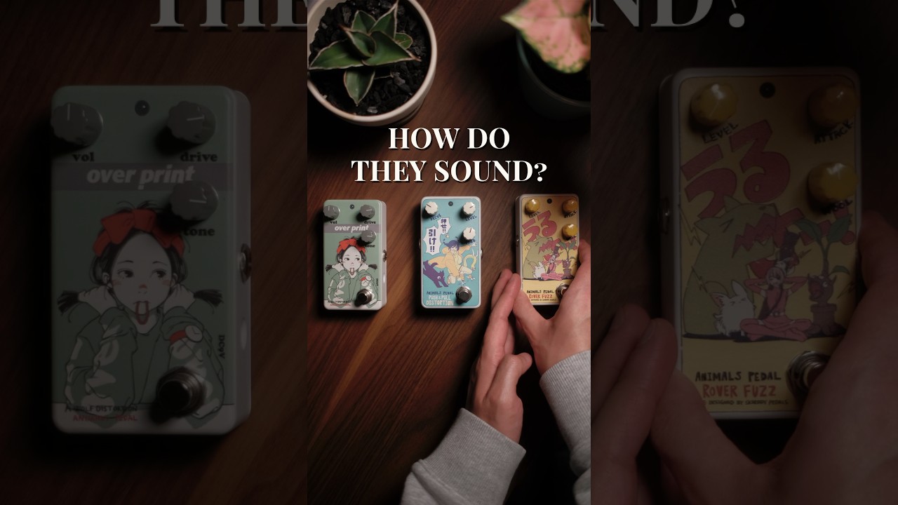 ANIME Pedals | Animals Pedal Custom Illustrated Series - YouTube