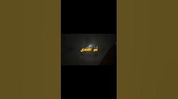 القارئ هيثم الدخين 🤍