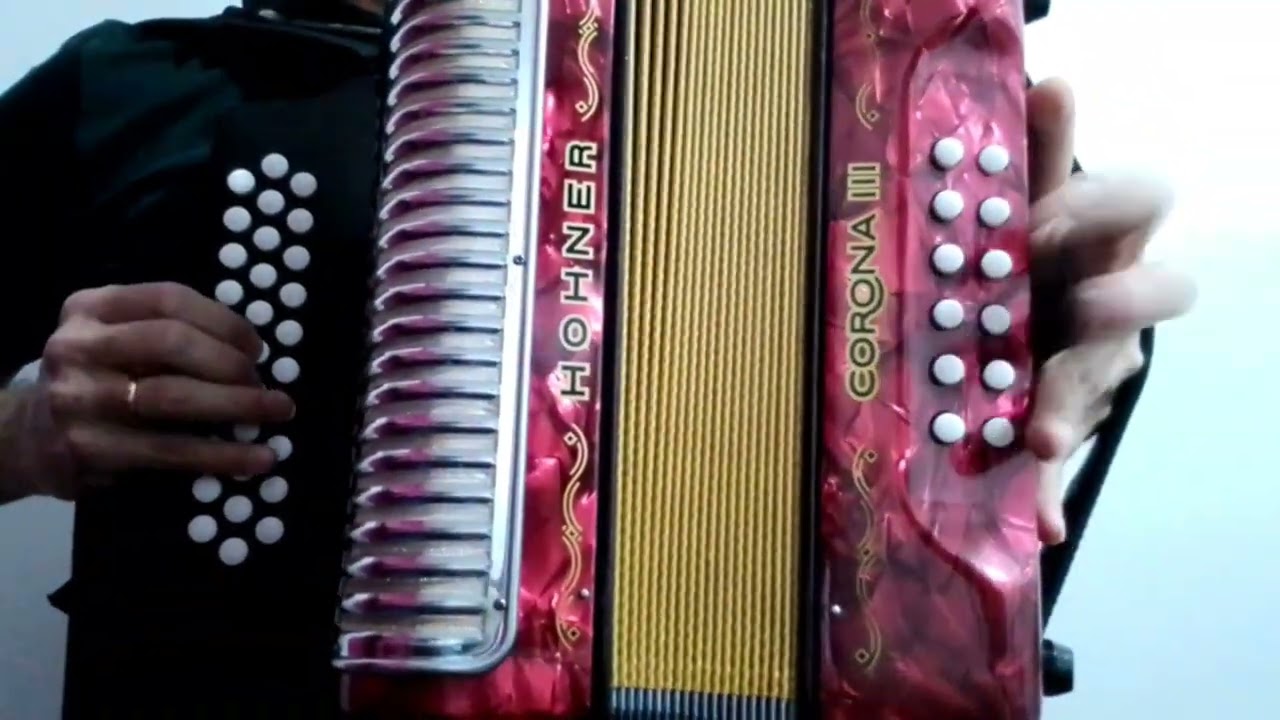 Bucaramanga mi amor Los embajadores vallenatos (cover acordeón)