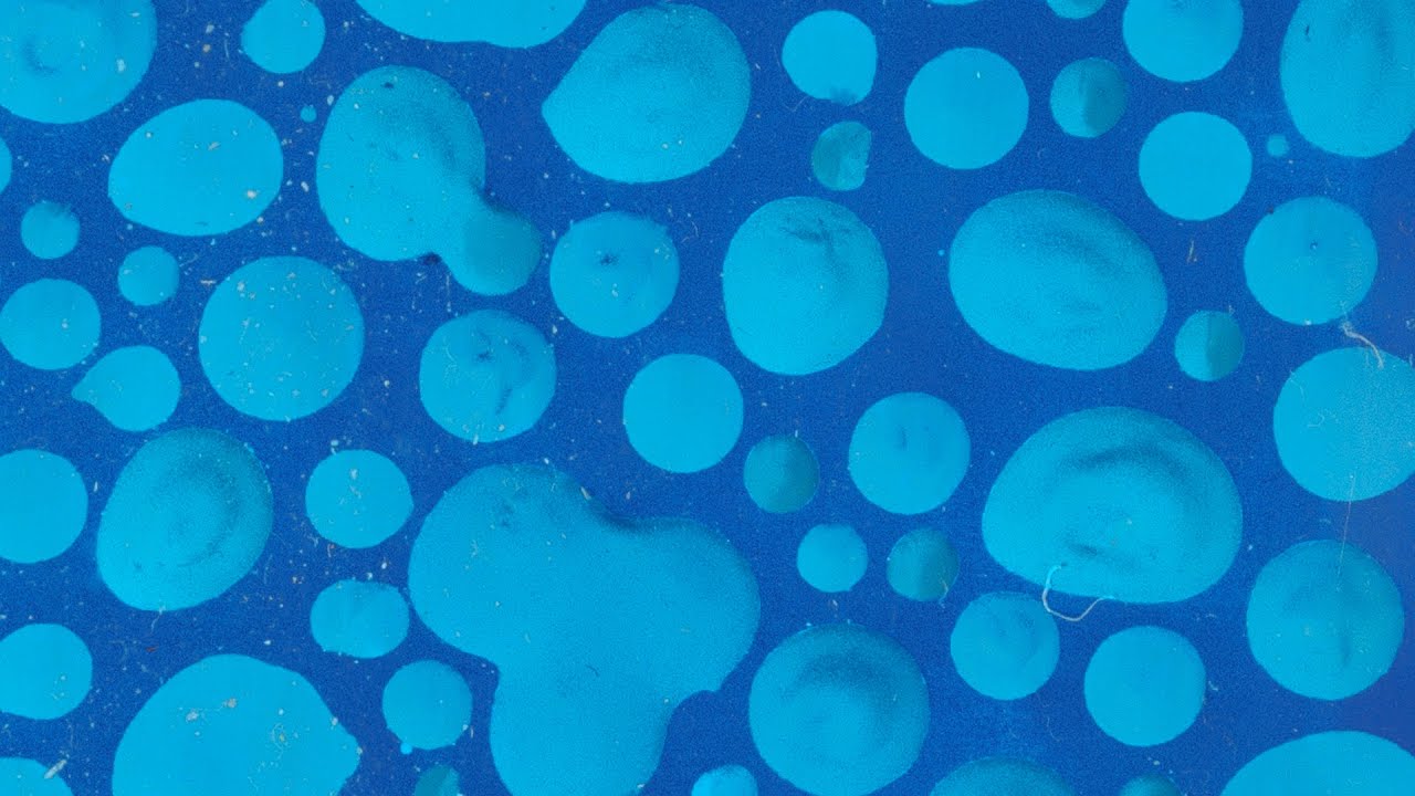 Spellbound - Khaler (Official Audio)