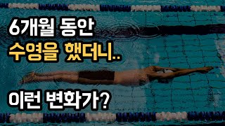 새벽수영을 하며 달라진 것들(매일을 헤엄치는 법, 이연)