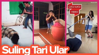 Tiktok DJ Ular | Suling Tari Ular Kobra Viral Hits Kocak