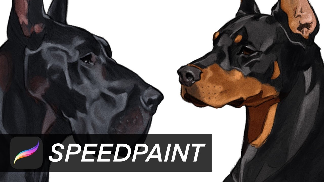 Dog Studies | [SpeedPaint]