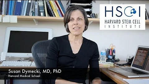 Meet HSCI's Susan Dymecki, MD, PhD