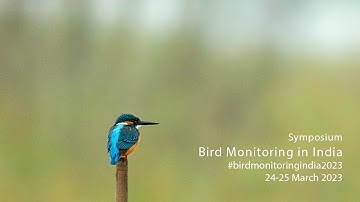Passive acoustic monitoring of avian communities and habitats by Laurel Symes