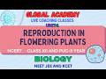 Reproduction in Flowering Plants 12 & PUC II | Poornima Ma'am | Biology | 2026-27 | NEET | JEE |KCET