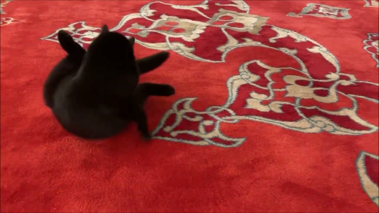 Suleymaniye Camii - Istanbul