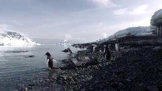 TOUR: Breathtaking Antarctica Tours by Jacada Travel