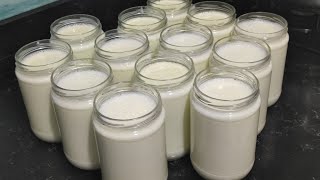 Canned Yogurt ❗ It will never go bad for months Make your yogurt this way and consume it for months