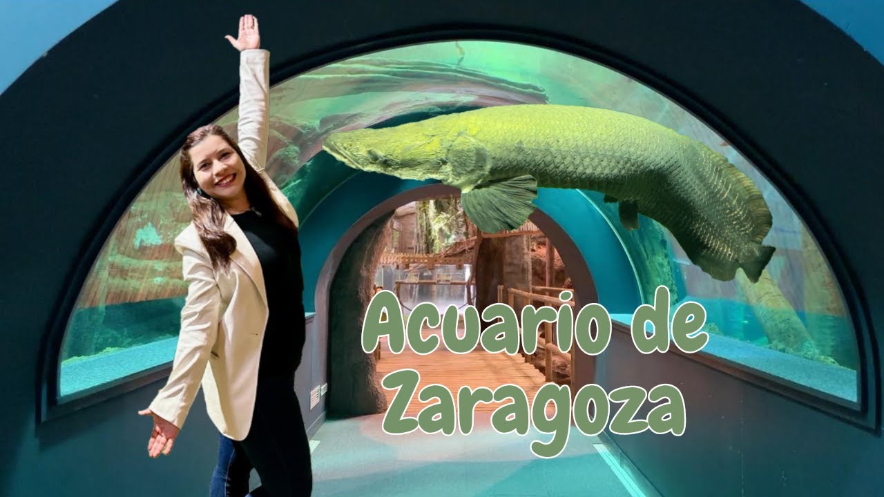 Explorando el Acuario Fluvial más Grande de Europa: Un Viaje por Cinco ...