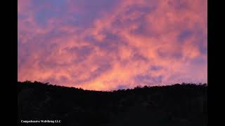 A Moment to Integrate What You Have Learned Guided Reflection - Michelle Reugebrink (14 Minutes)
