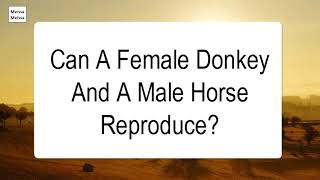 Can A Female Donkey And A Male Horse Reproduce
