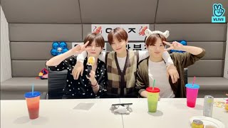 [Sub Indo/Eng] Treasure Vlive (Yoshi, Park Jihoon, Junkyu)