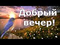 С добрым вечером! Пожелание доброго вечера! Музыкальная открытка! Добрый вечер!