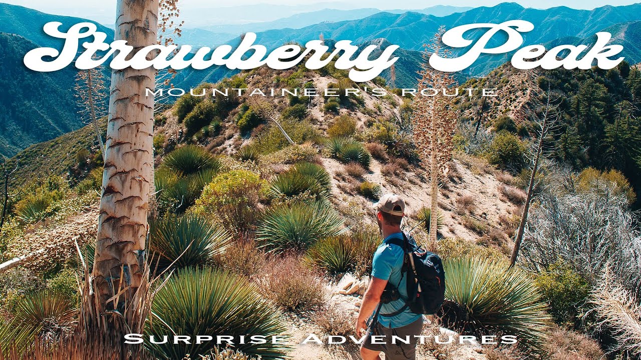 STRAWBERRY PEAK - Mountaineer's Route | Day Hike in Angeles National Forest