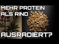 Biologische Souveränität: 40% Protein ohne Konzerne и Chemie.
