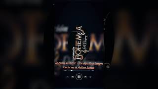 Agrupación Bohemia Del Paraguay - De aquí para siempre!💥 #shortvideo #tiktok #shorts #shortvideo