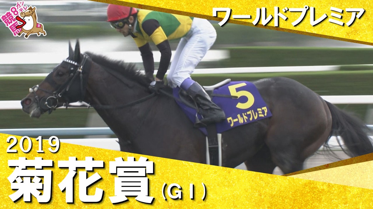 関連動画1