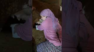 Süt Sağdım 🫢 Üşraöz Şfetbeniöneçıkar Şfet