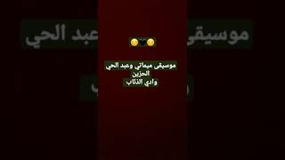 موسيقى ميماتي و عبد الحي الحزينه وادي الذئاب screenshot 1