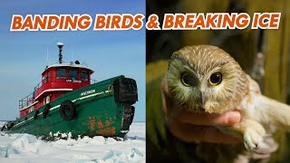 Banding Birds and Breaking Ice | Great Lakes Now | Full Episode