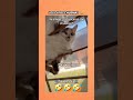 Querían ver que pasaba adentro 😂  #humor #comedia #virales #viral #gatos #michis #animales