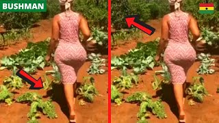 😂😂😂SHE THOUGHT IT WAS A PLANT. Best Of October Prank Reactions. Bushman | Gorilla | Statue.